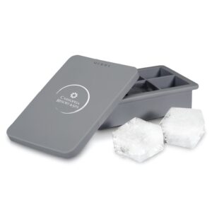 Whiskey Ice Cube Tray with Lid