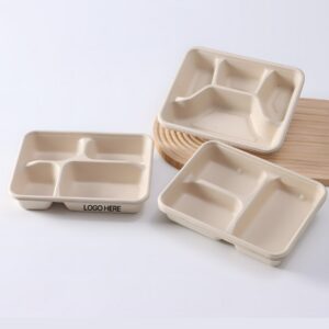 Disposable Biodegradable Lunch Tray